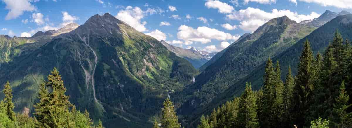 Madeira Walking Holidays Reviews