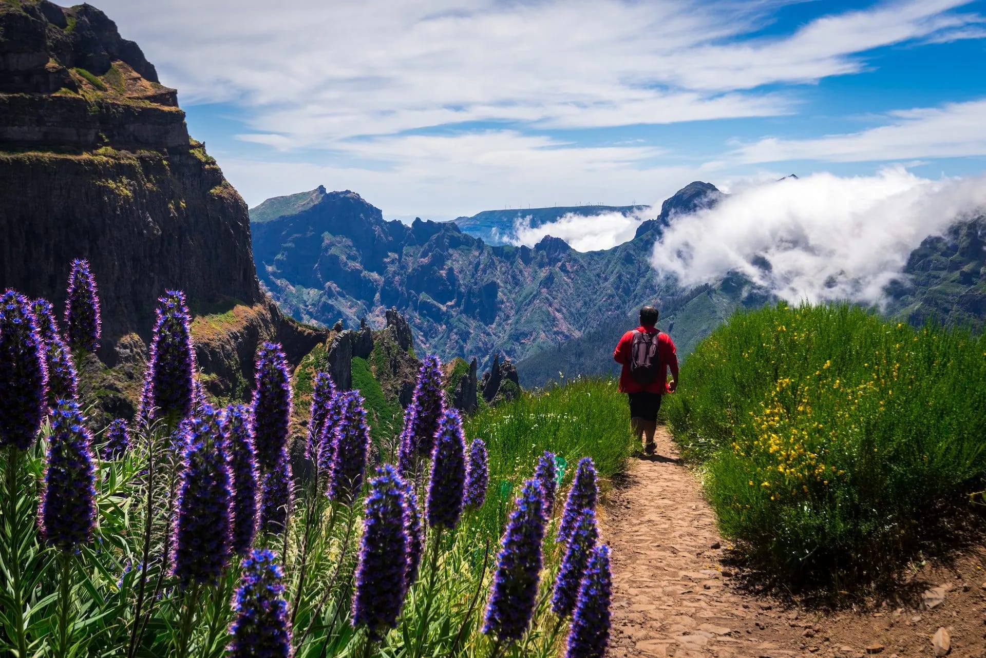 Hiker on dirt path with purple flowers overlooking Madeira mountains shrouded in clouds.