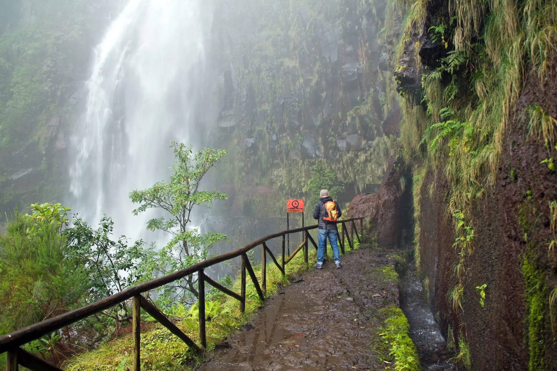 Hiker on muddy trail near tall waterfall in misty, lush green ravine with wooden railing