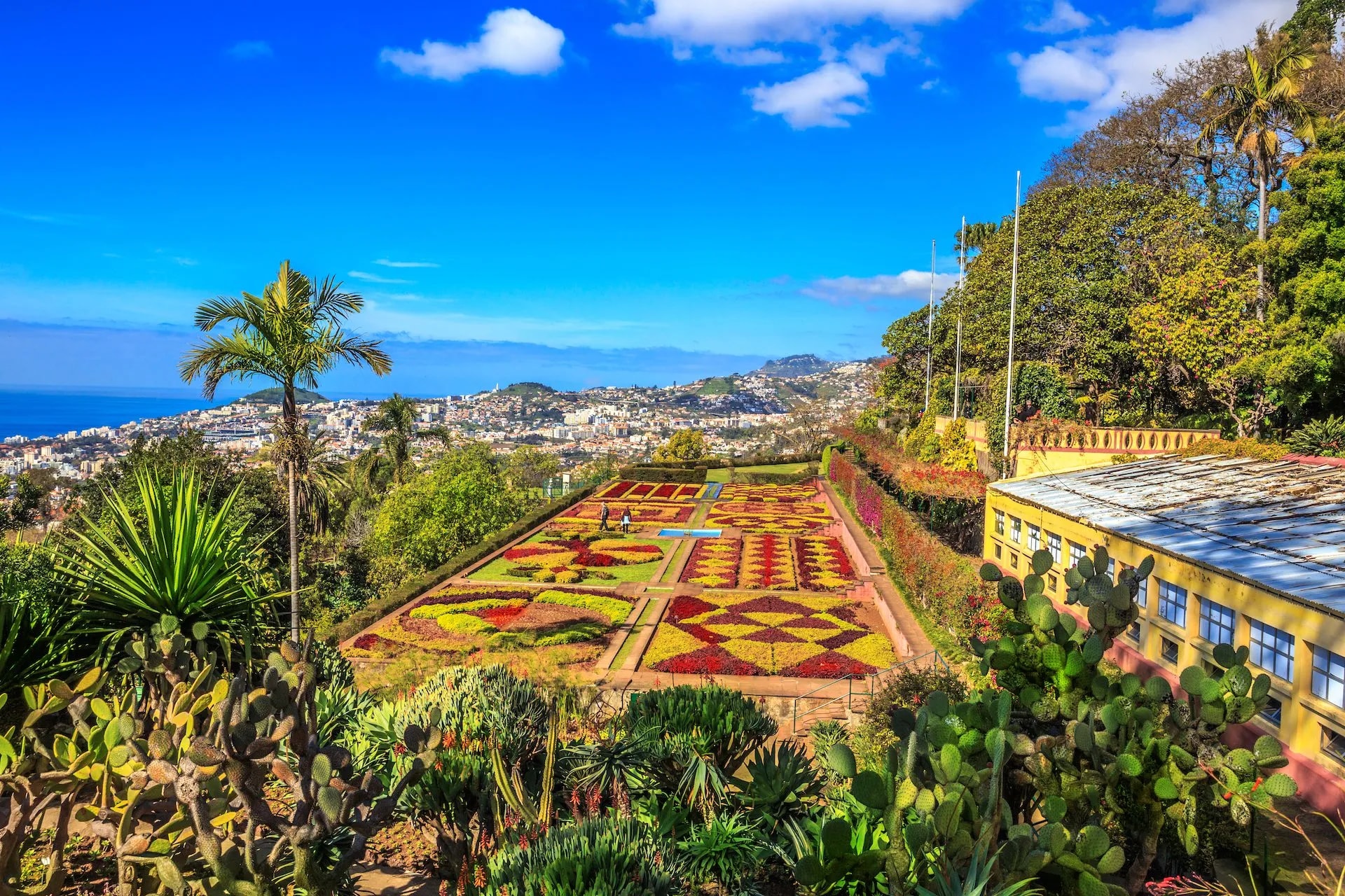 Botanical garden with patterned flower beds overlooking Funchal city and the ocean.