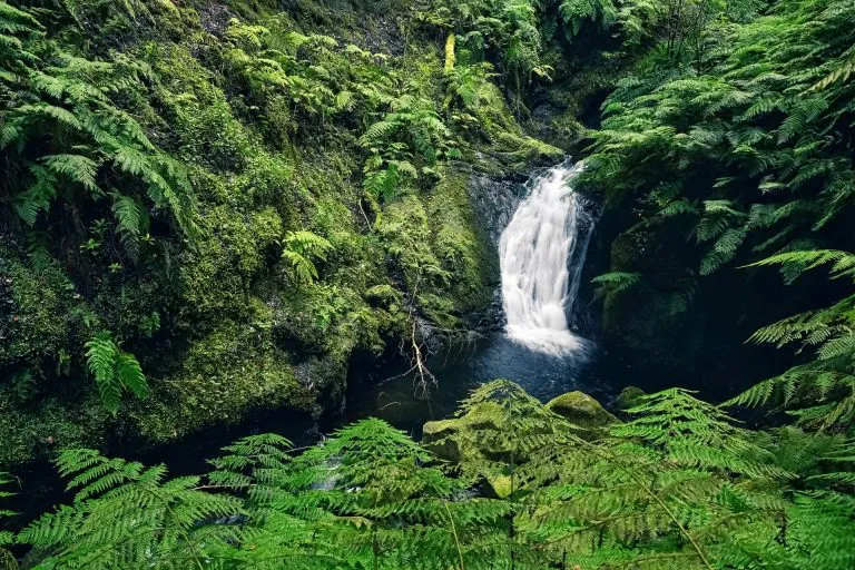 Litet vattenfall på väg mot levada do rei
