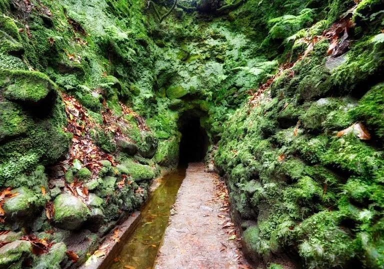 Tunnlar på madeira